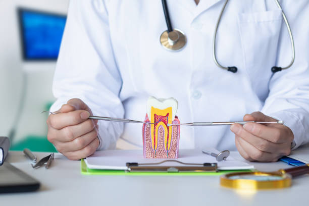 Best Emergency Treatment for Toothache in Combine, TX